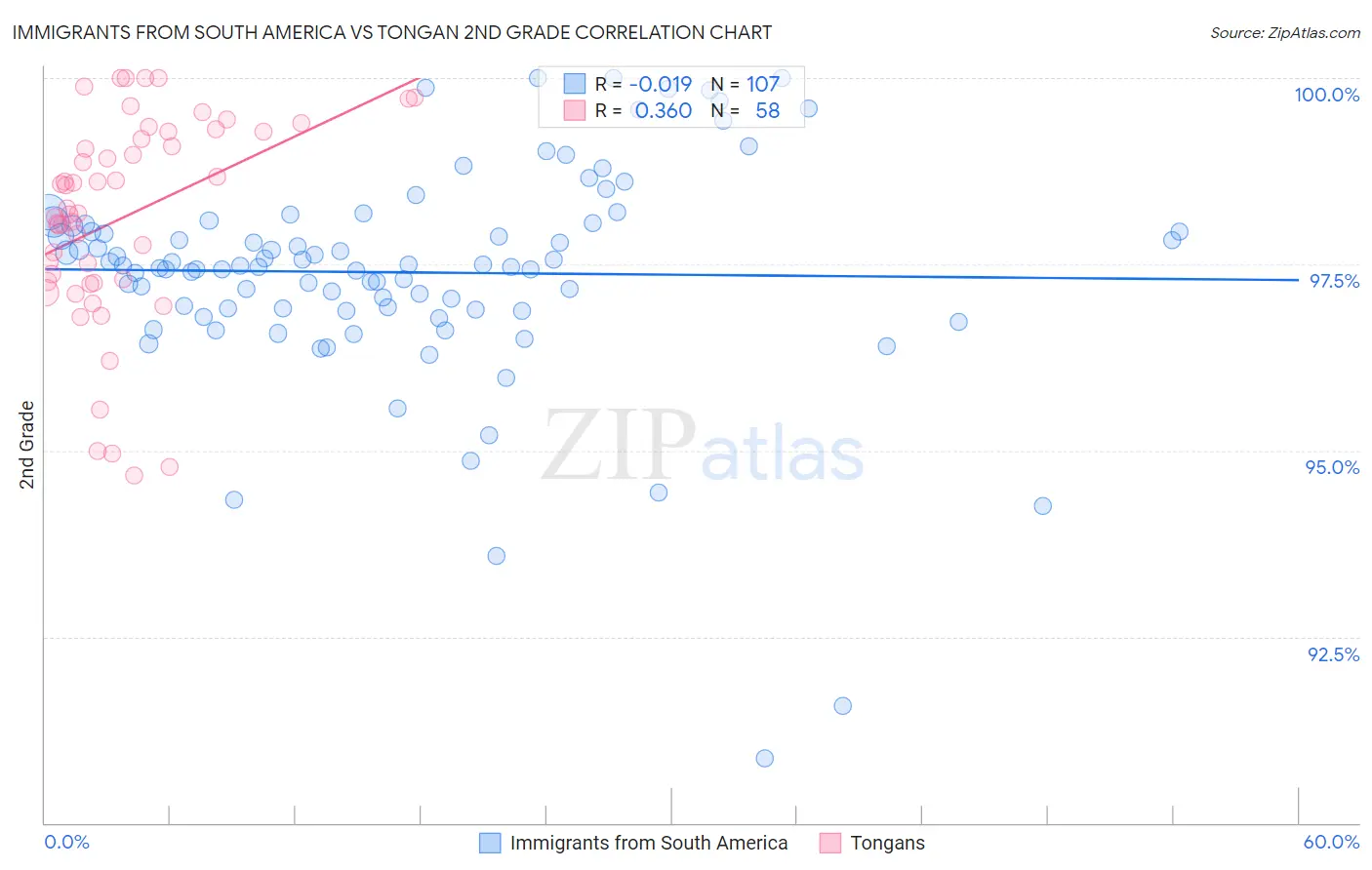 Immigrants from South America vs Tongan 2nd Grade