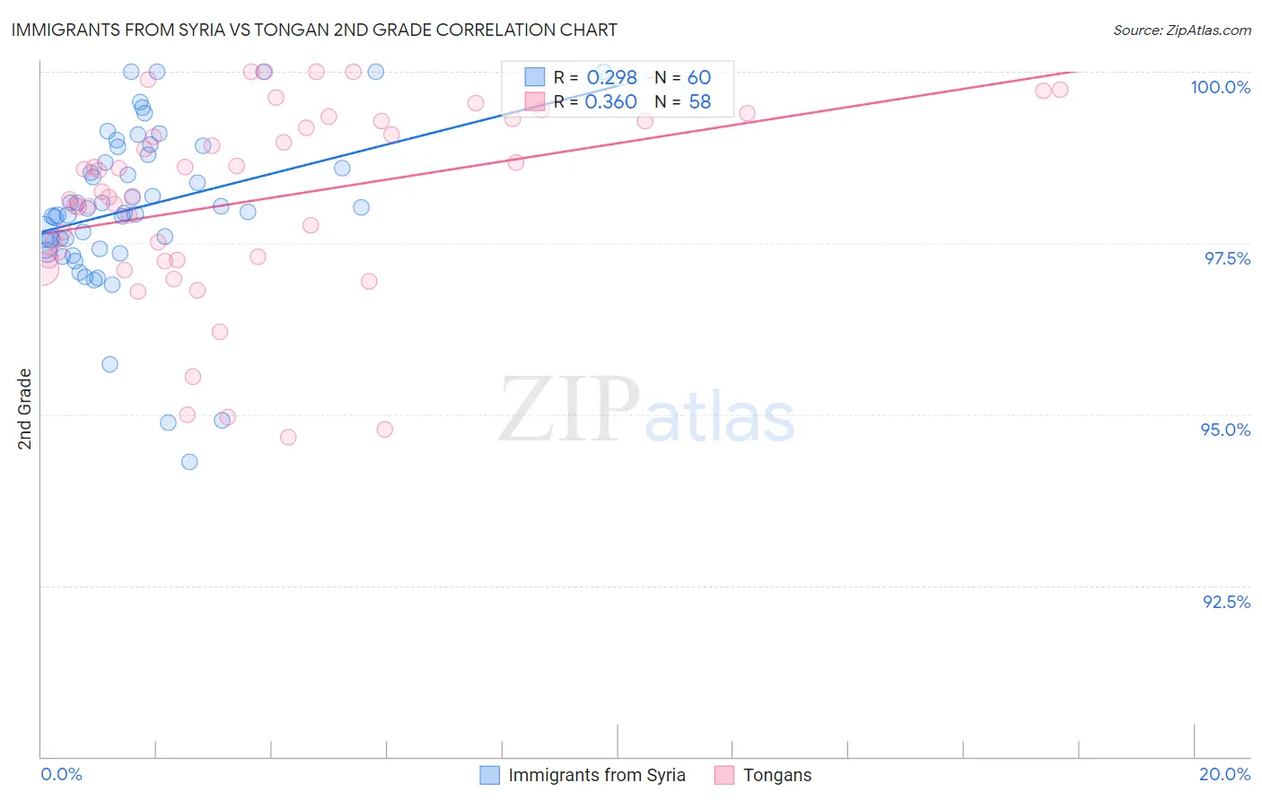 Immigrants from Syria vs Tongan 2nd Grade