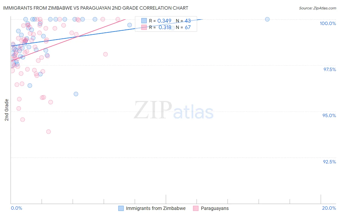 Immigrants from Zimbabwe vs Paraguayan 2nd Grade