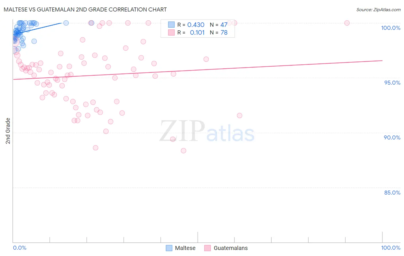 Maltese vs Guatemalan 2nd Grade