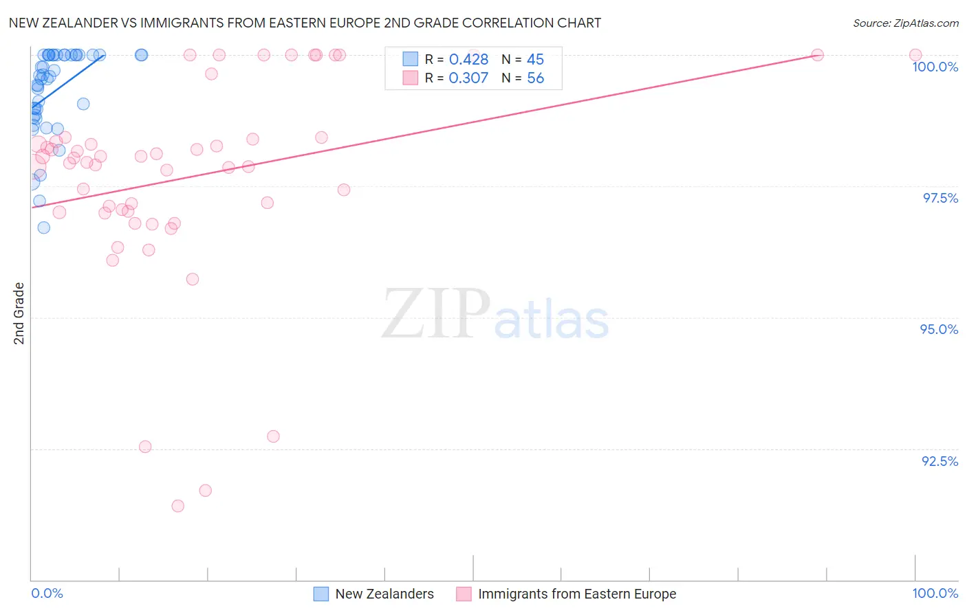 New Zealander vs Immigrants from Eastern Europe 2nd Grade