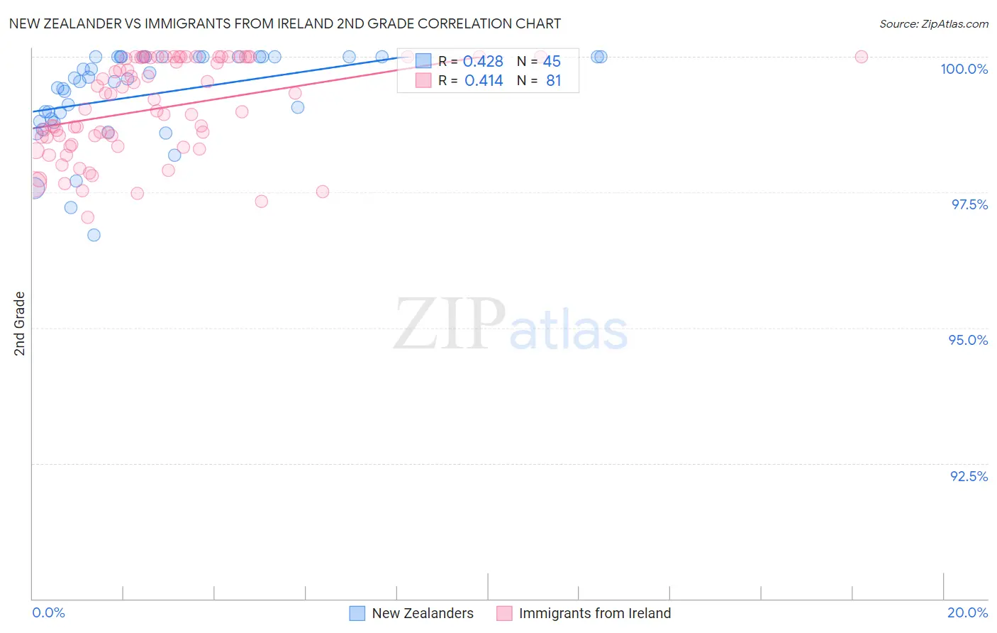 New Zealander vs Immigrants from Ireland 2nd Grade