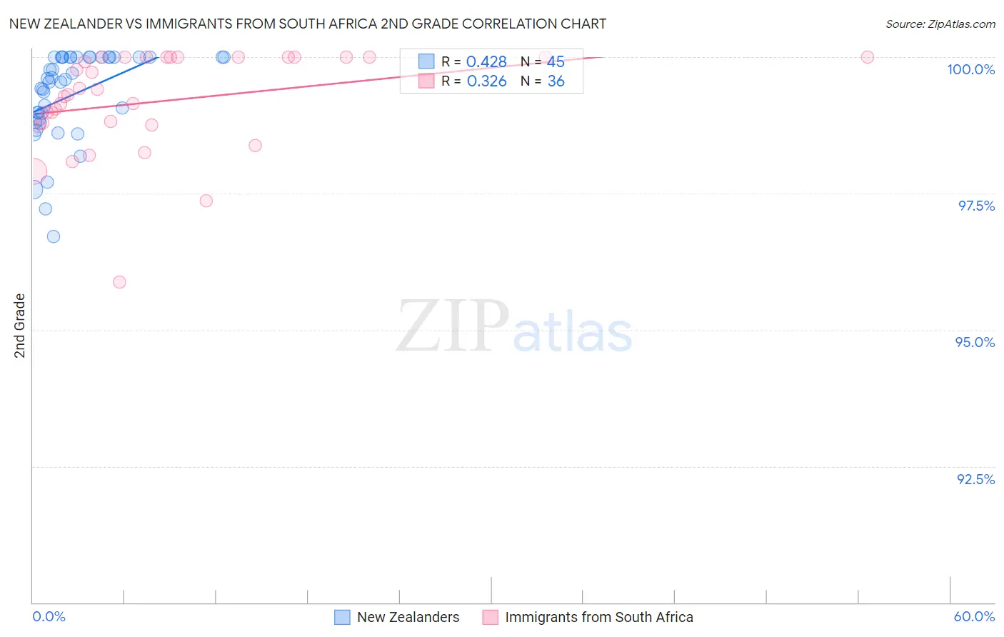 New Zealander vs Immigrants from South Africa 2nd Grade