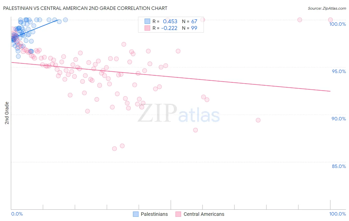 Palestinian vs Central American 2nd Grade