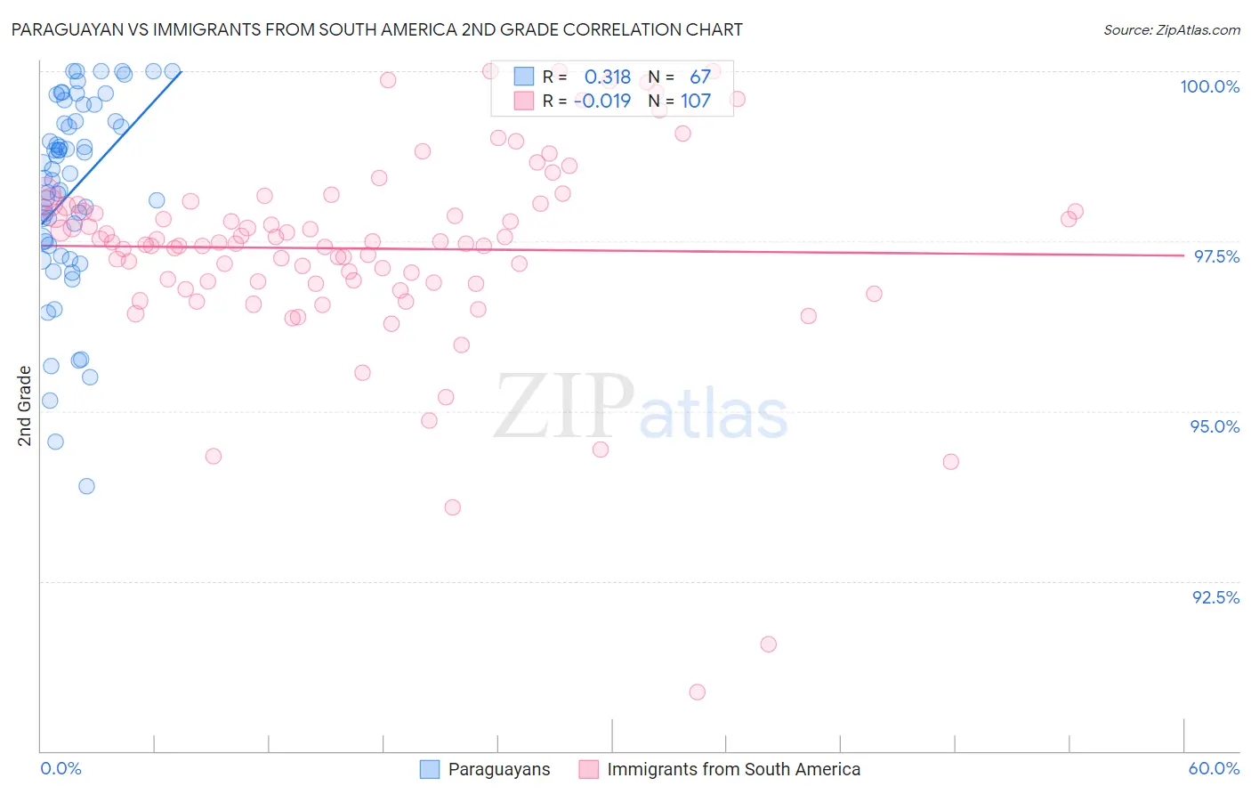 Paraguayan vs Immigrants from South America 2nd Grade