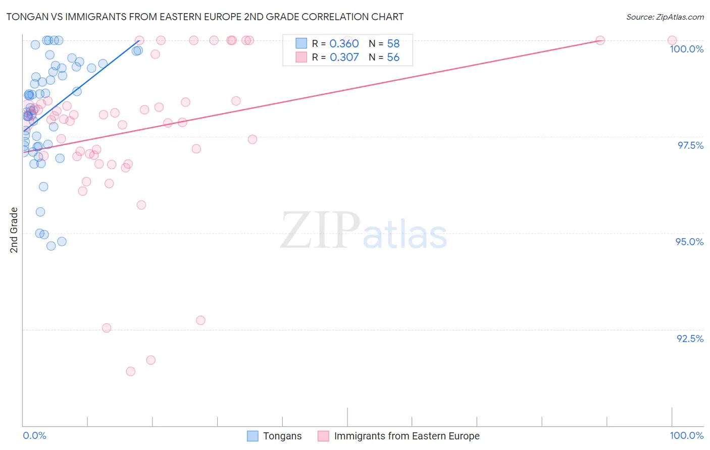 Tongan vs Immigrants from Eastern Europe 2nd Grade
