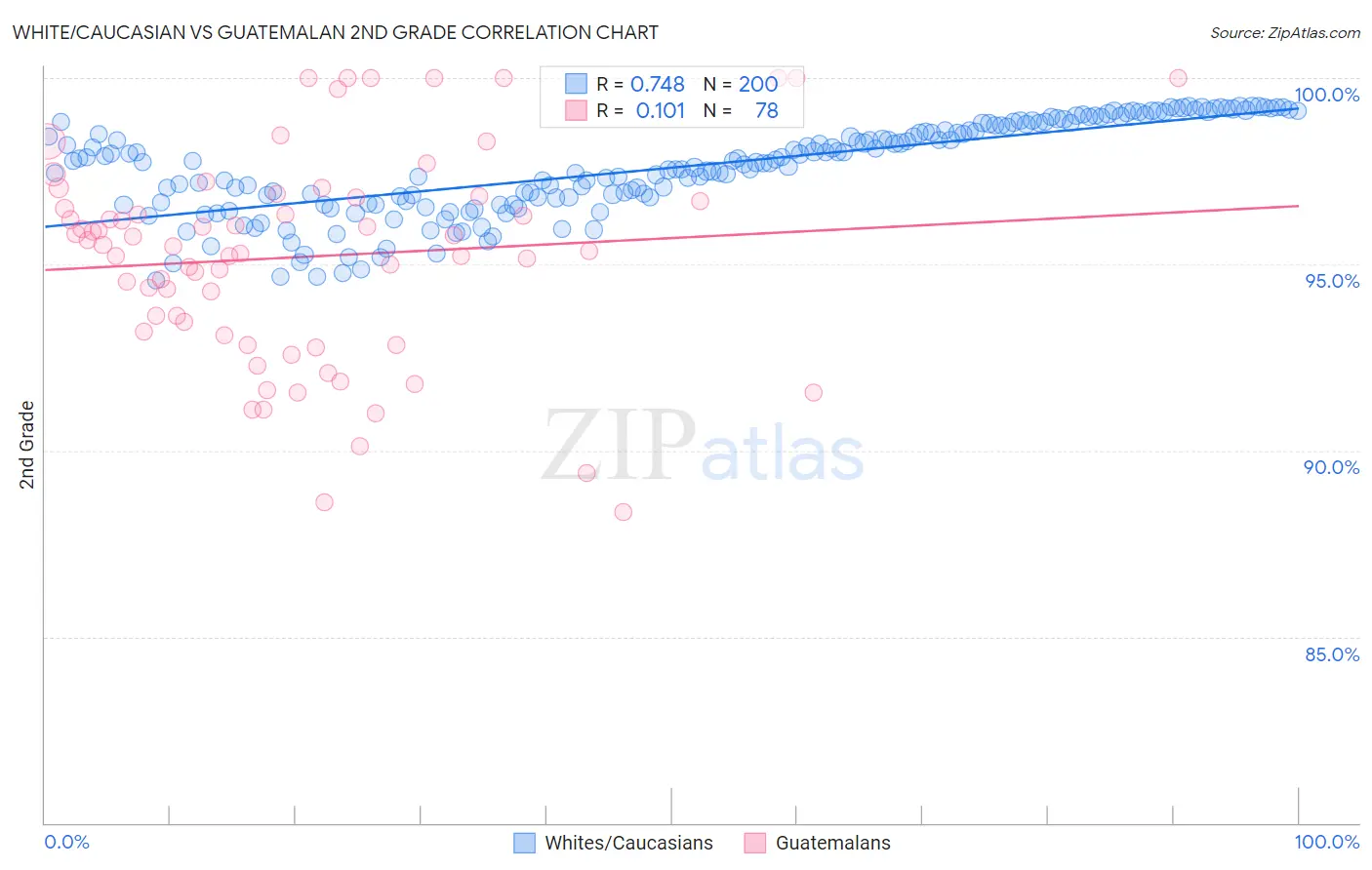 White/Caucasian vs Guatemalan 2nd Grade