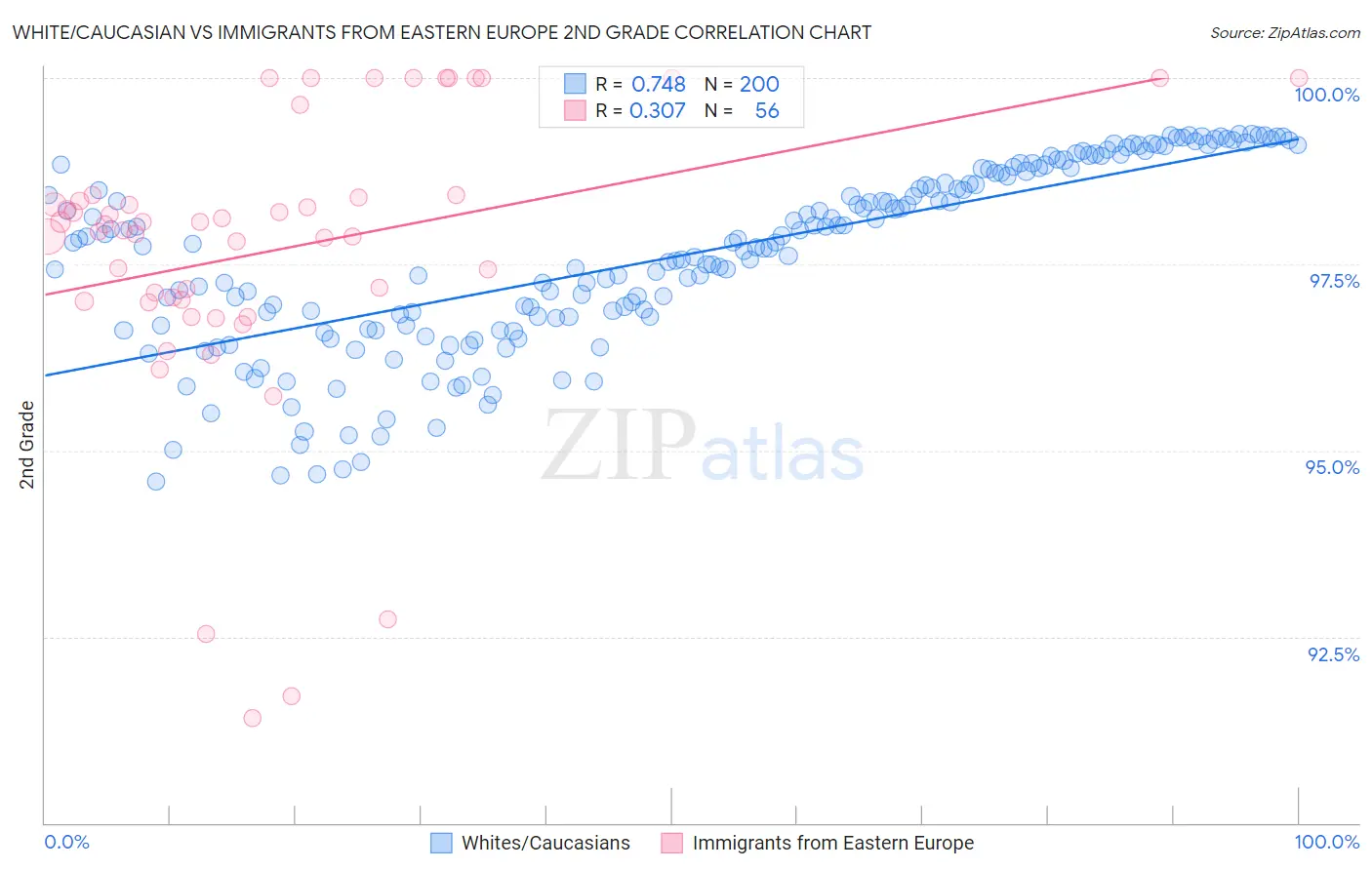 White/Caucasian vs Immigrants from Eastern Europe 2nd Grade