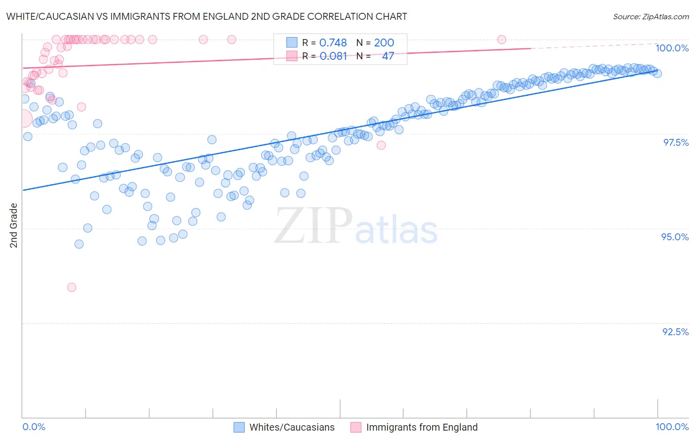 White/Caucasian vs Immigrants from England 2nd Grade
