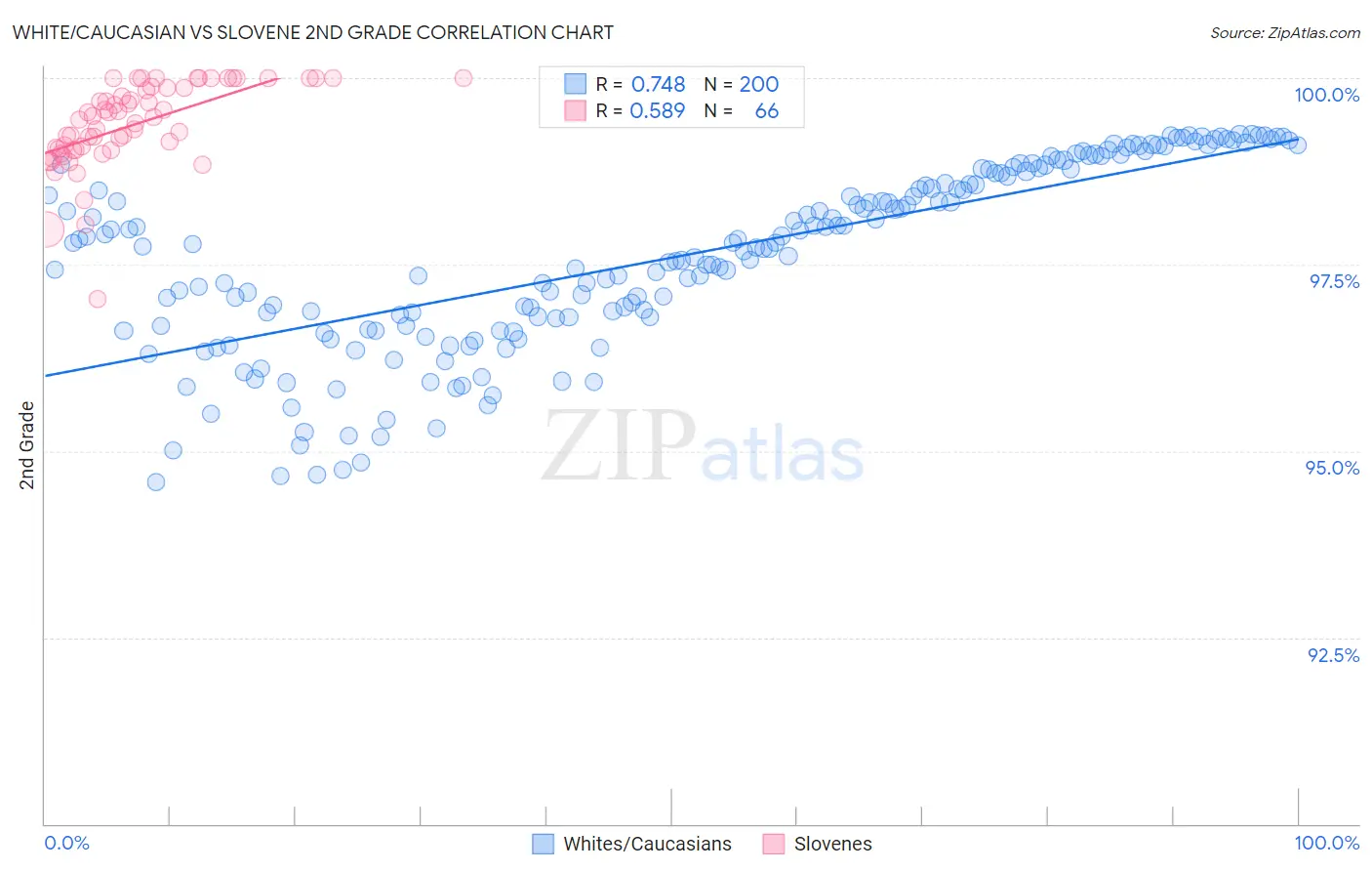 White/Caucasian vs Slovene 2nd Grade