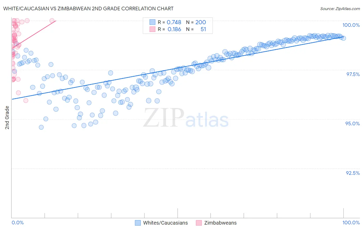 White/Caucasian vs Zimbabwean 2nd Grade