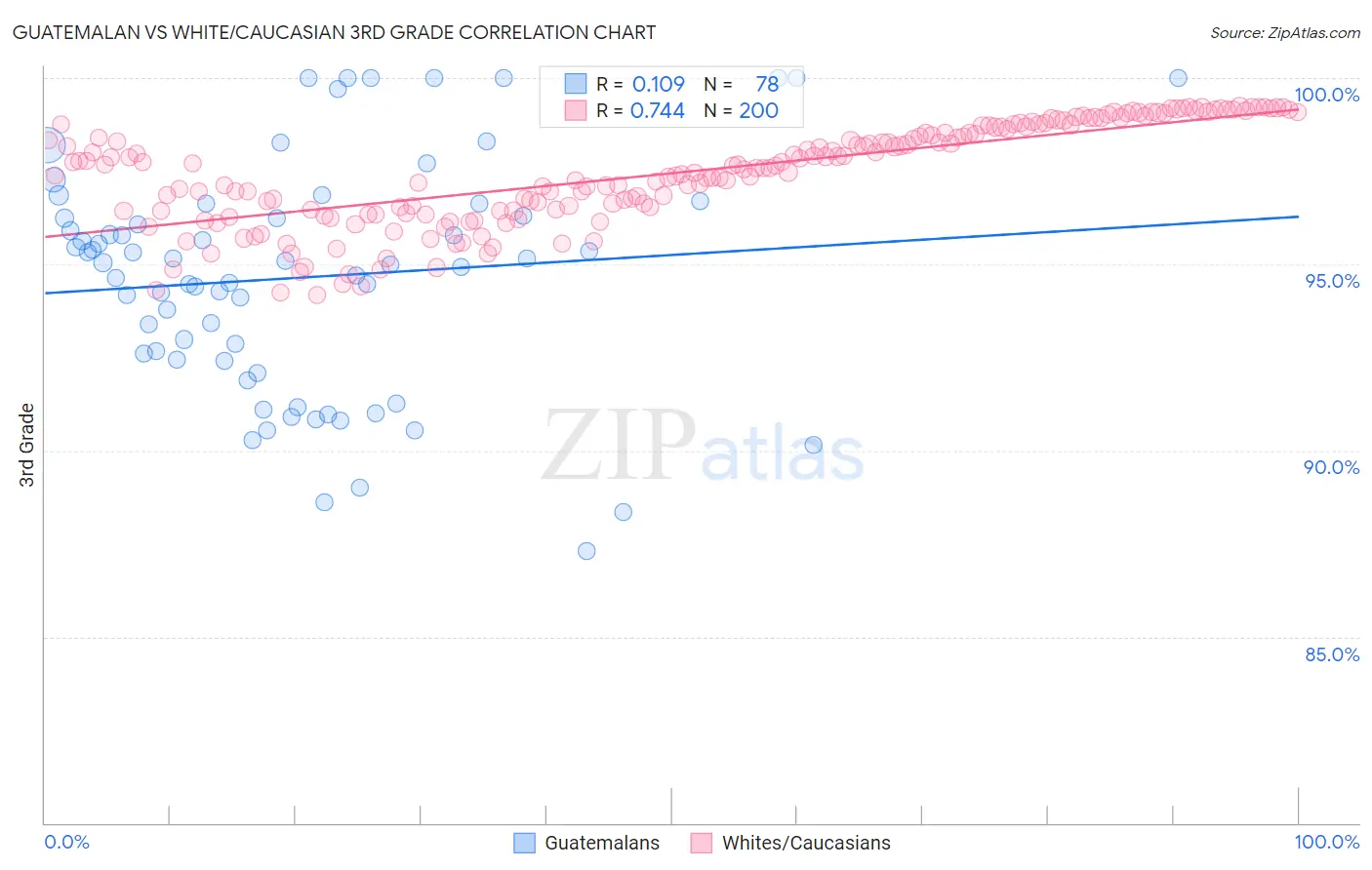 Guatemalan vs White/Caucasian 3rd Grade