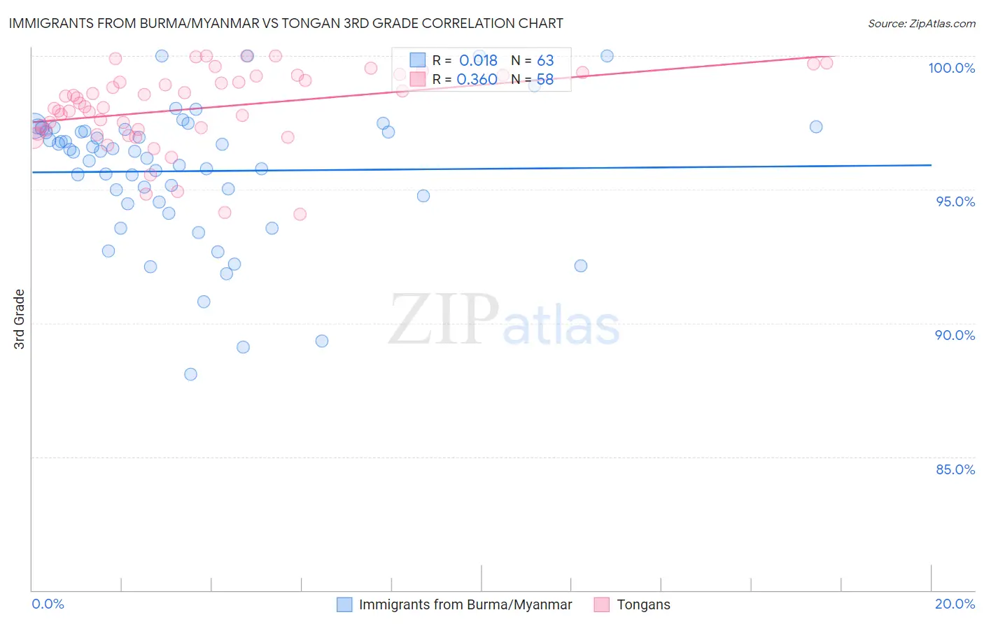 Immigrants from Burma/Myanmar vs Tongan 3rd Grade