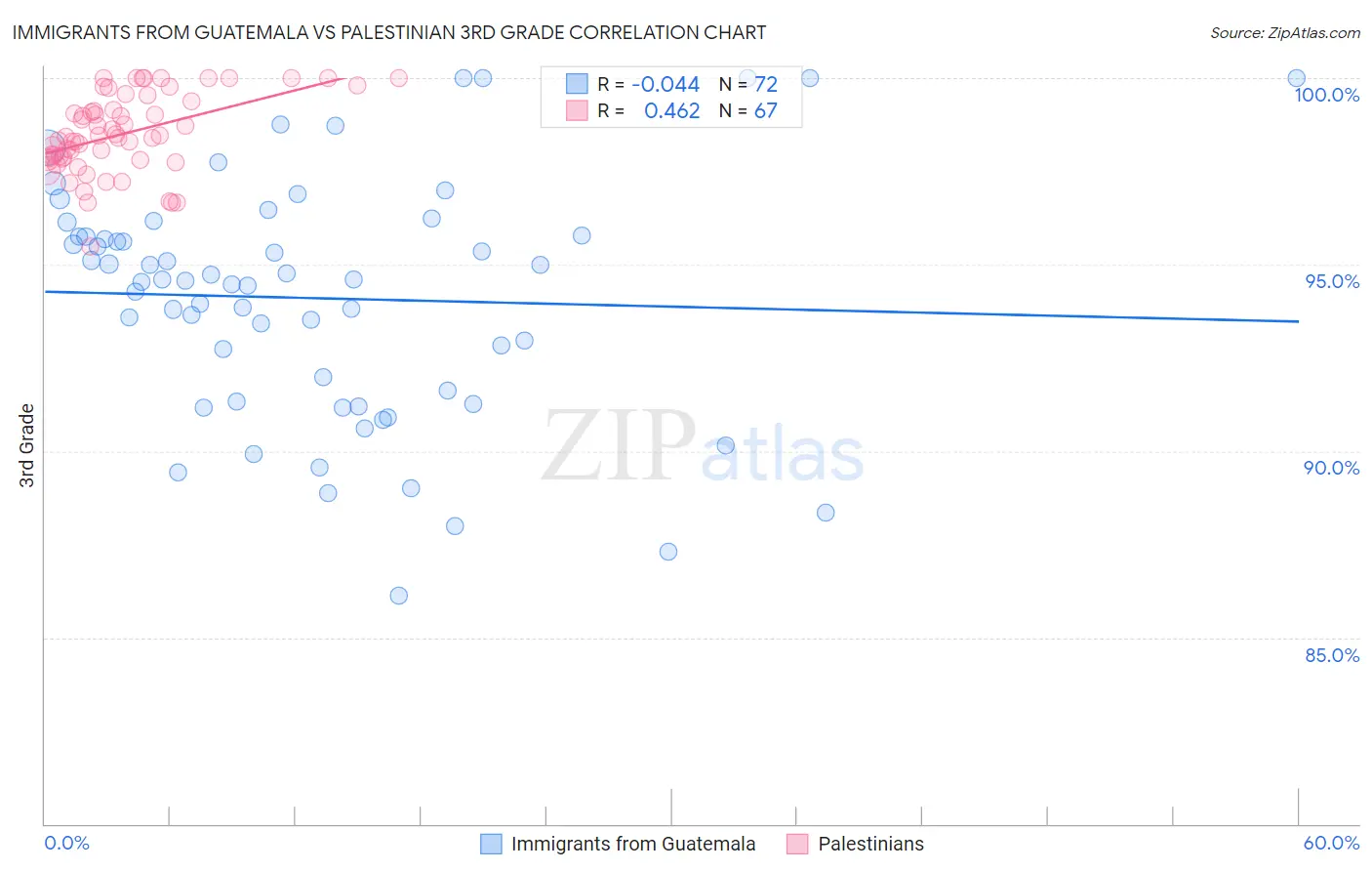 Immigrants from Guatemala vs Palestinian 3rd Grade