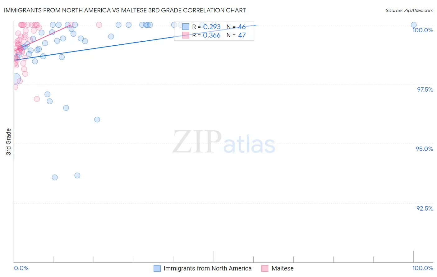 Immigrants from North America vs Maltese 3rd Grade