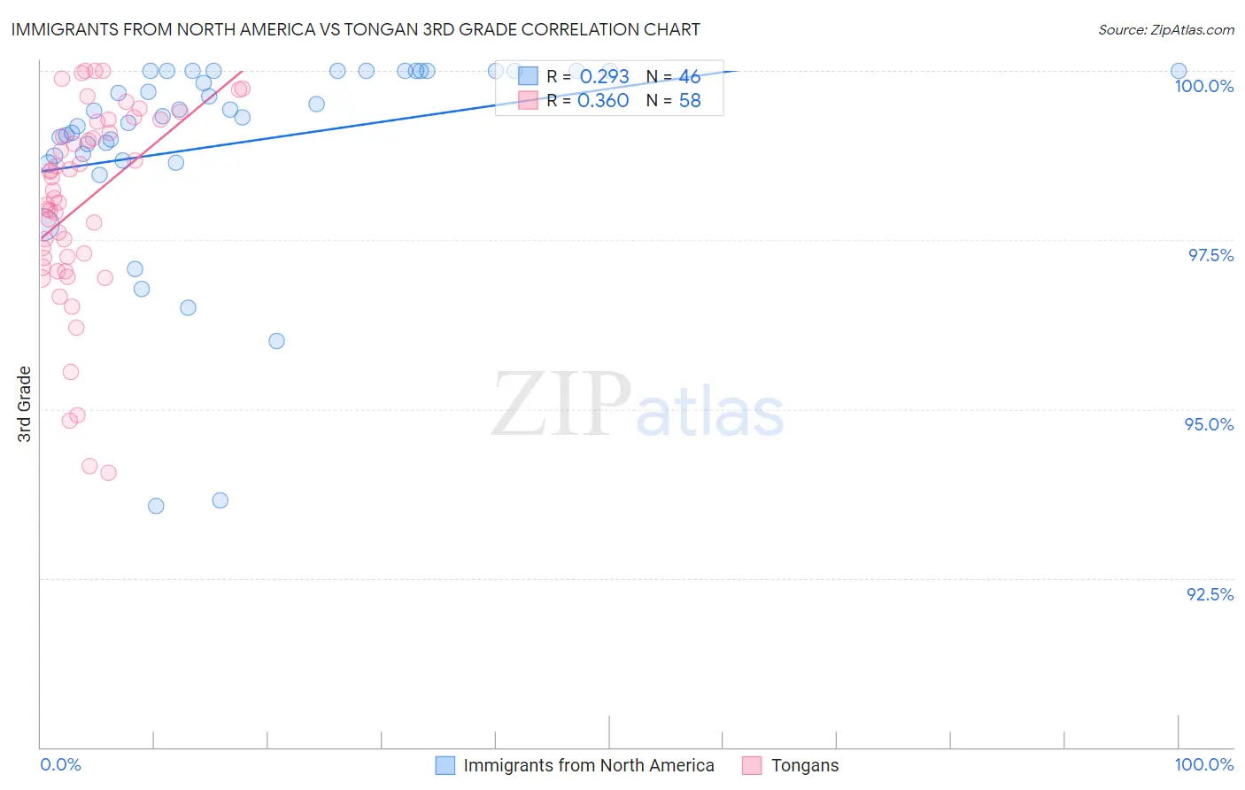 Immigrants from North America vs Tongan 3rd Grade