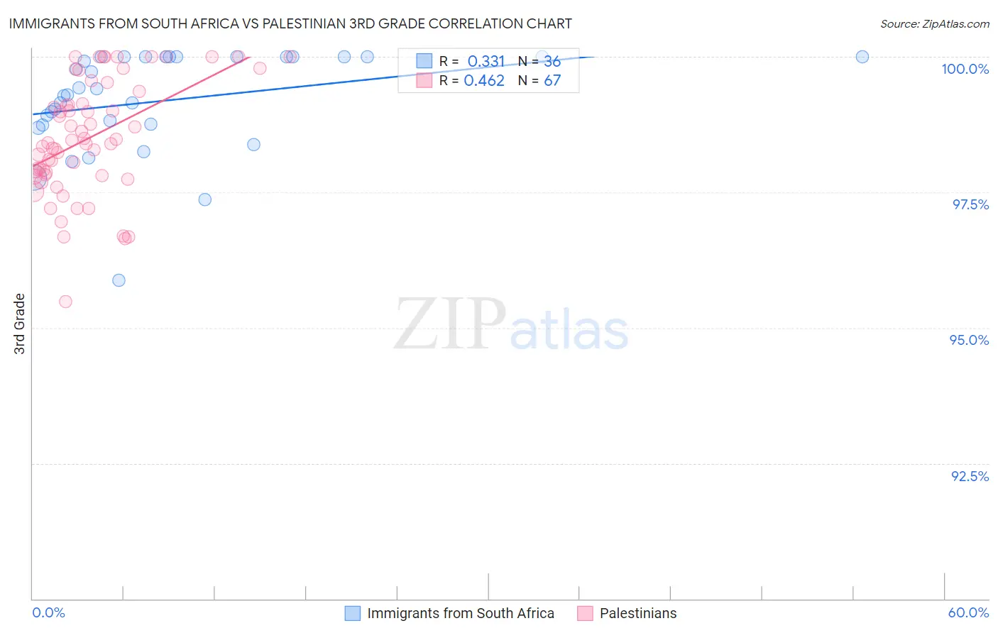 Immigrants from South Africa vs Palestinian 3rd Grade