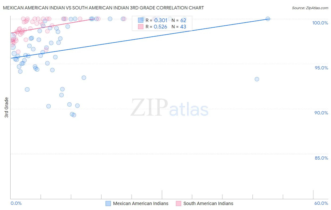 Mexican American Indian vs South American Indian 3rd Grade