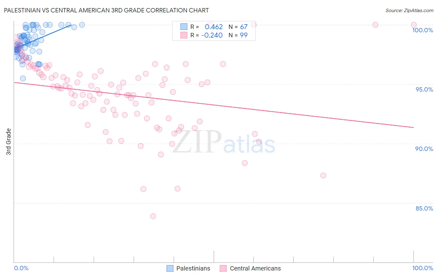 Palestinian vs Central American 3rd Grade