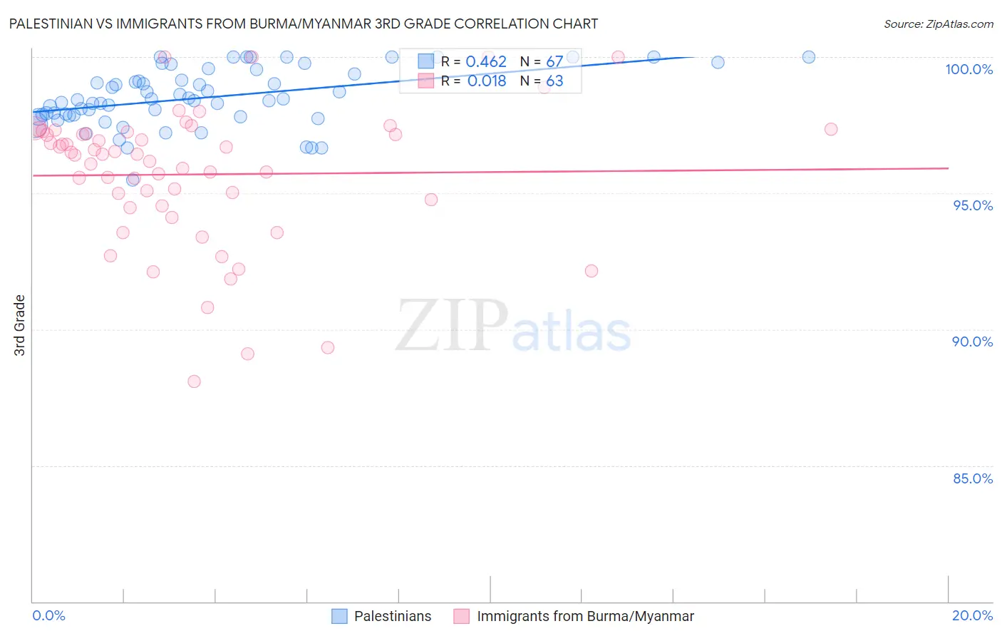 Palestinian vs Immigrants from Burma/Myanmar 3rd Grade