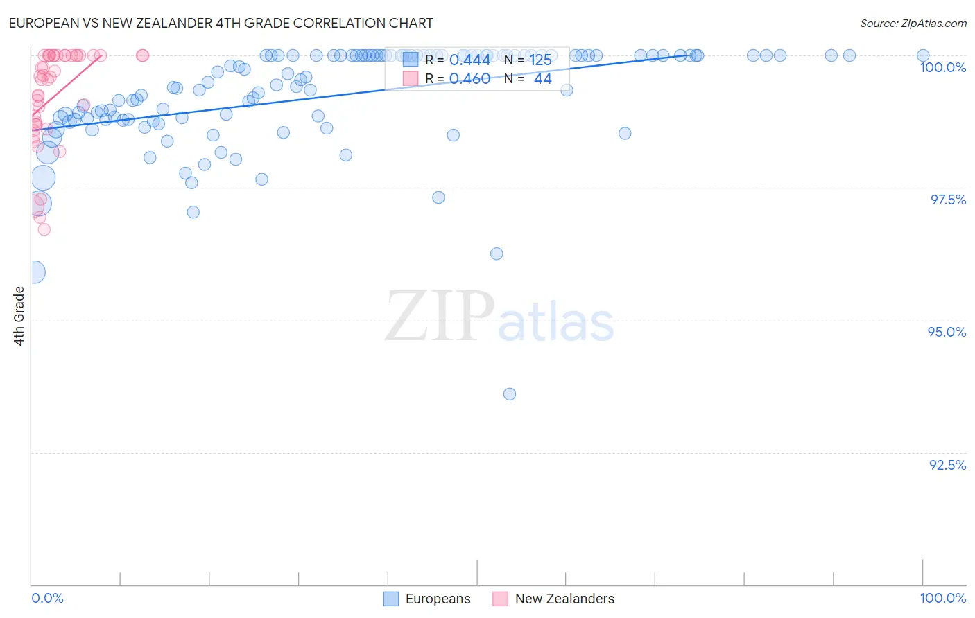 European vs New Zealander 4th Grade