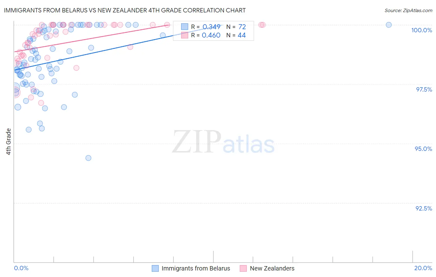 Immigrants from Belarus vs New Zealander 4th Grade