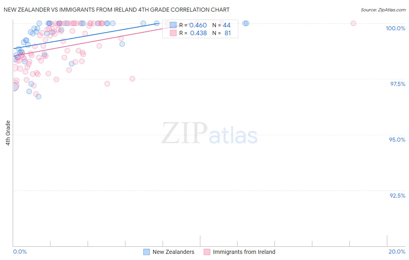 New Zealander vs Immigrants from Ireland 4th Grade