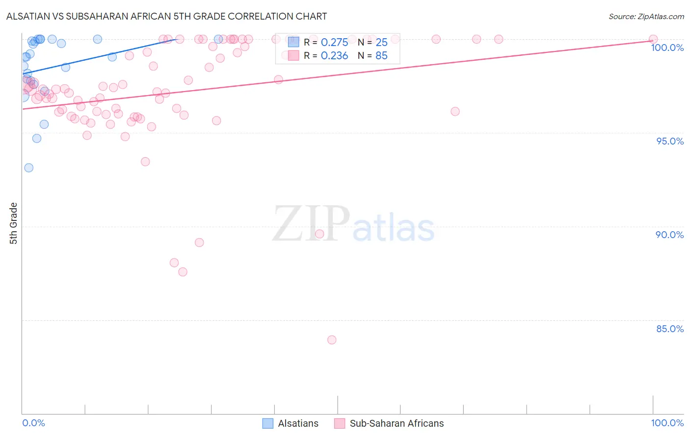 Alsatian vs Subsaharan African 5th Grade