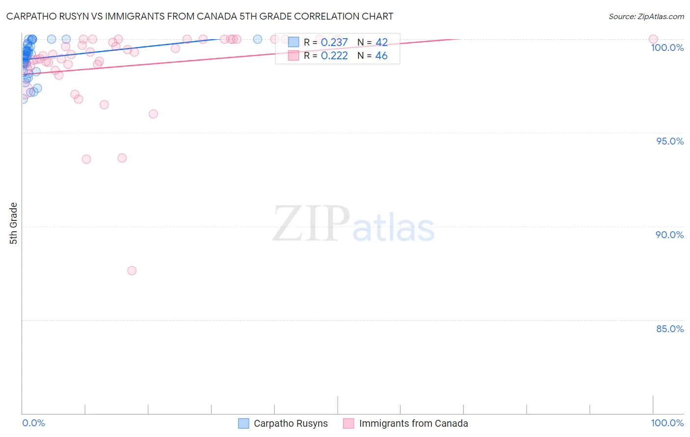 Carpatho Rusyn vs Immigrants from Canada 5th Grade