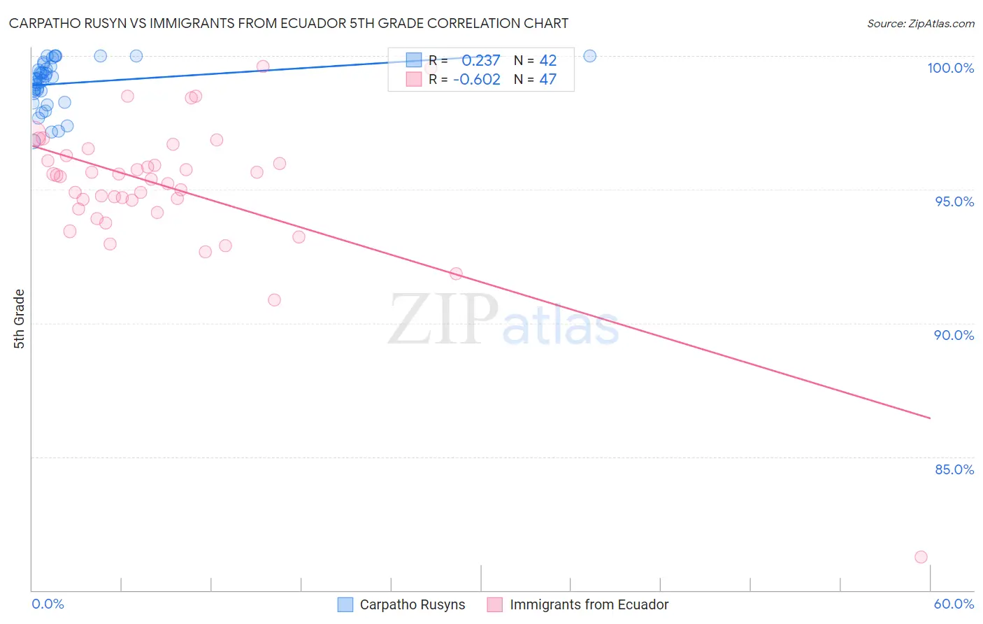 Carpatho Rusyn vs Immigrants from Ecuador 5th Grade