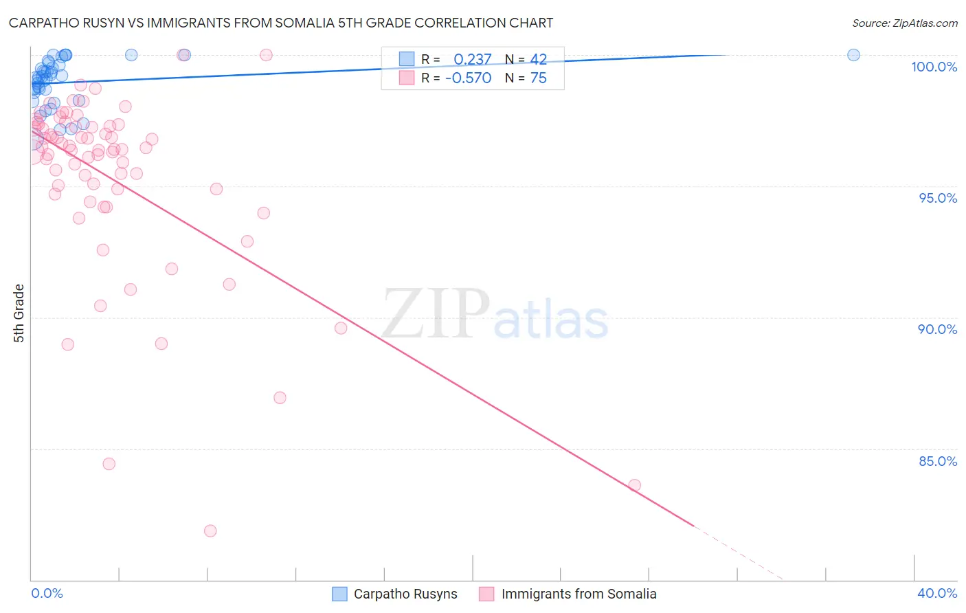 Carpatho Rusyn vs Immigrants from Somalia 5th Grade