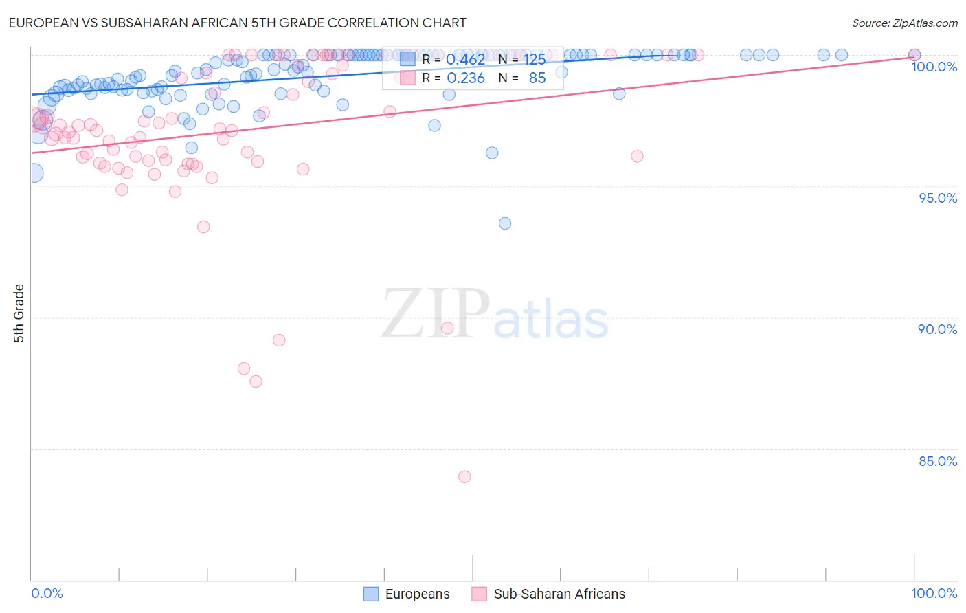 European vs Subsaharan African 5th Grade