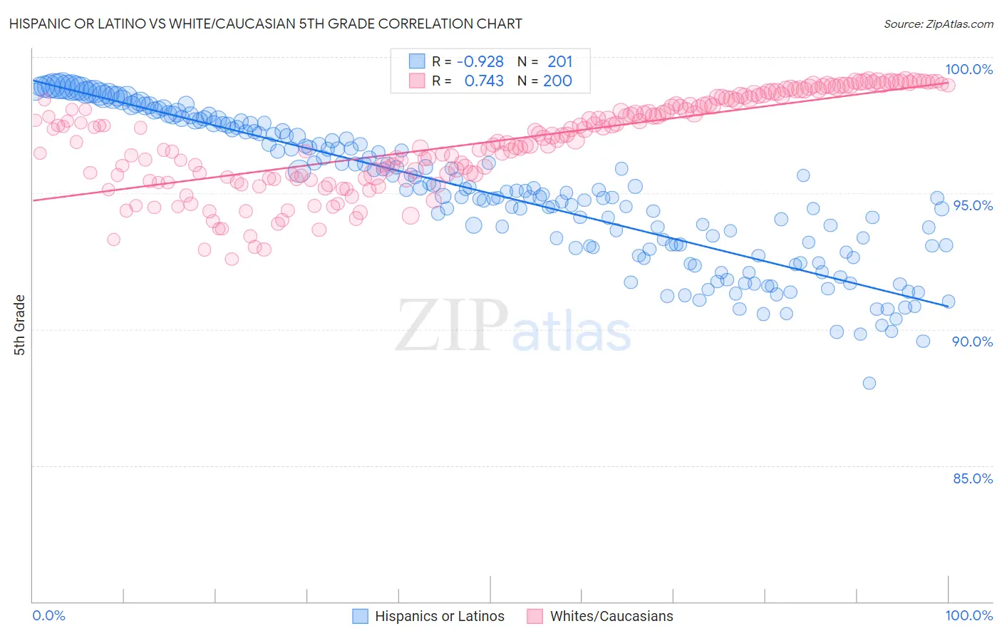 Hispanic or Latino vs White/Caucasian 5th Grade