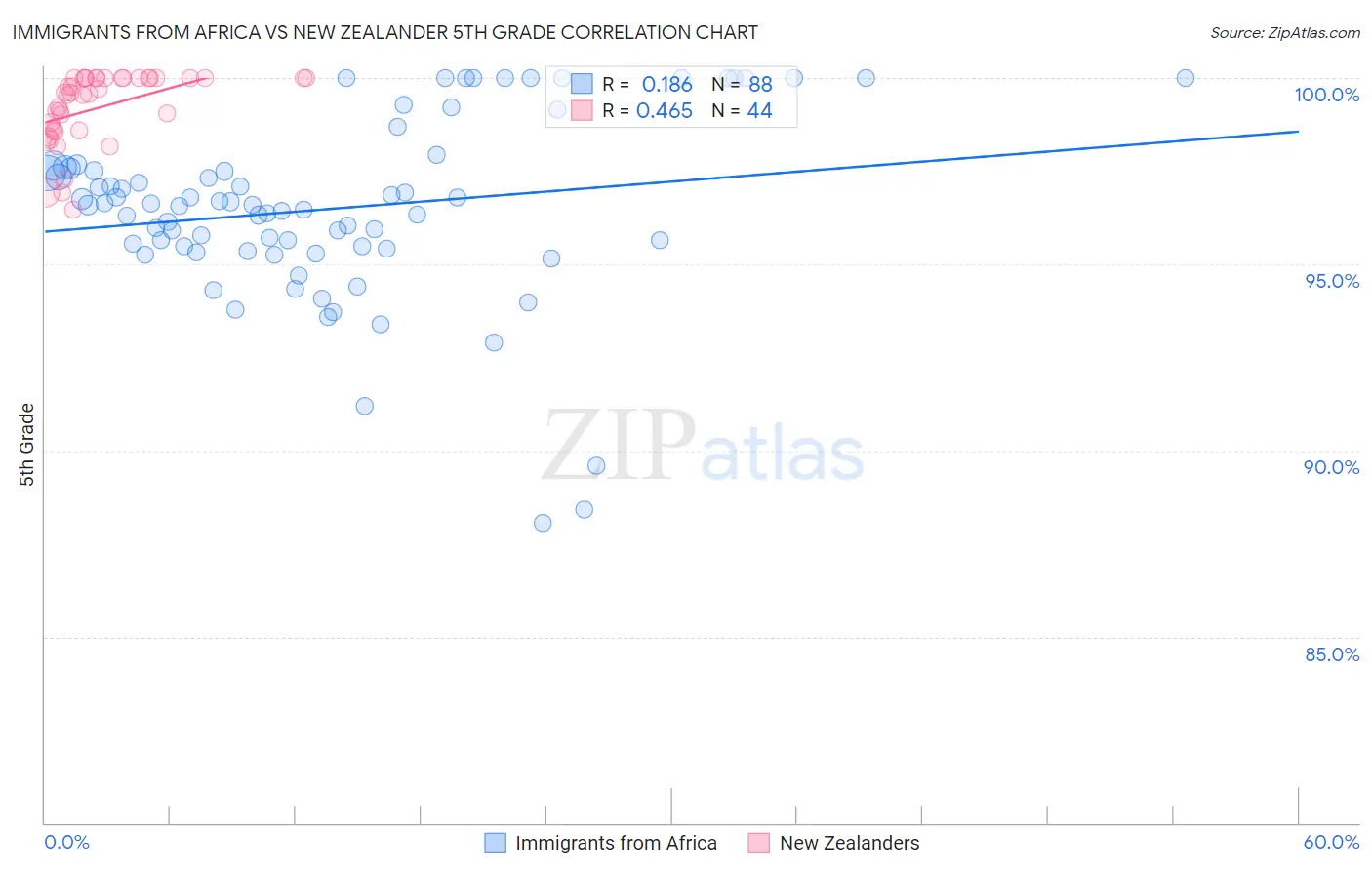 Immigrants from Africa vs New Zealander 5th Grade