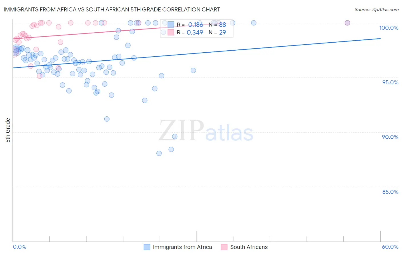 Immigrants from Africa vs South African 5th Grade