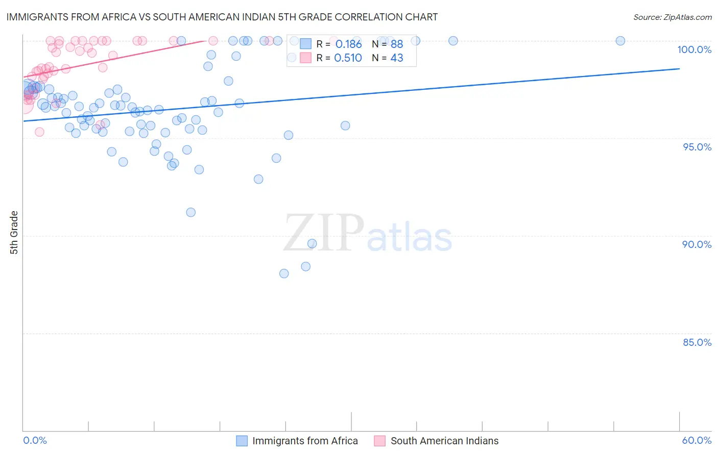 Immigrants from Africa vs South American Indian 5th Grade