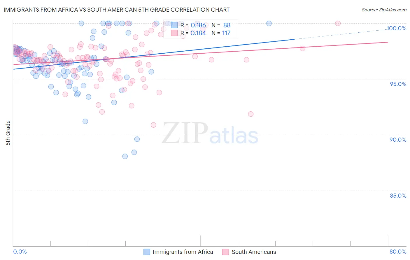 Immigrants from Africa vs South American 5th Grade