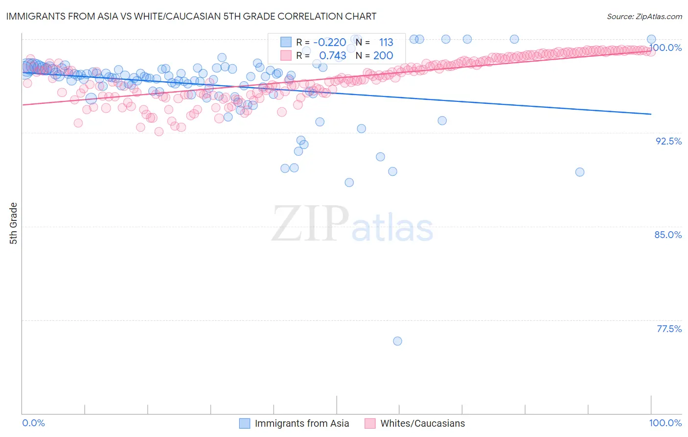 Immigrants from Asia vs White/Caucasian 5th Grade
