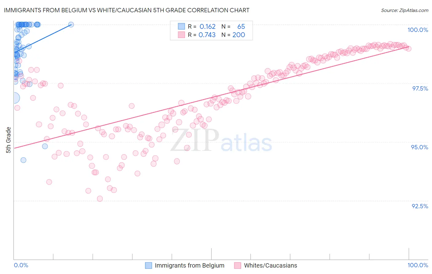 Immigrants from Belgium vs White/Caucasian 5th Grade