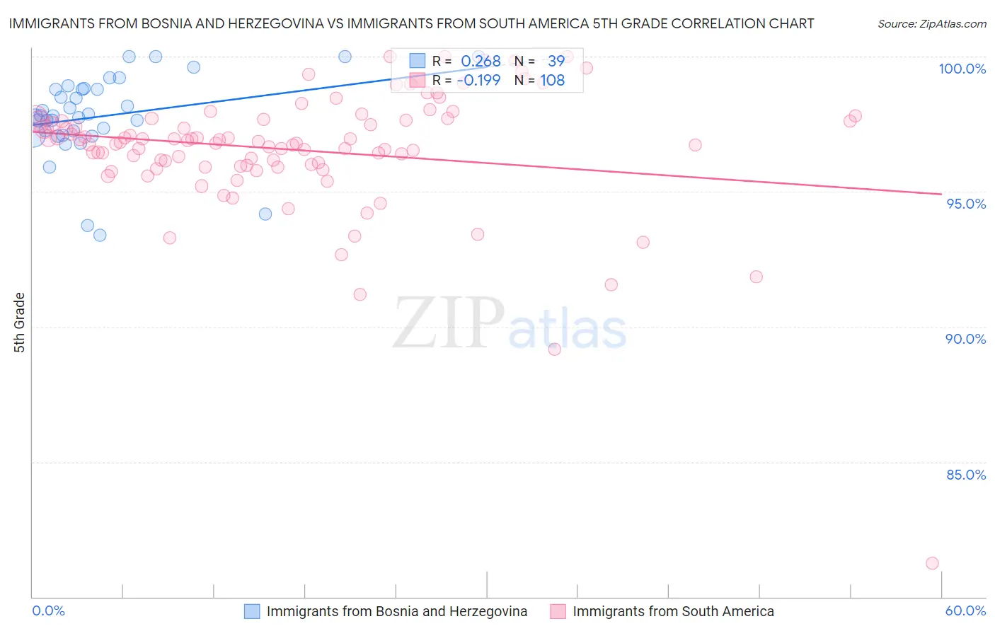 Immigrants from Bosnia and Herzegovina vs Immigrants from South America 5th Grade