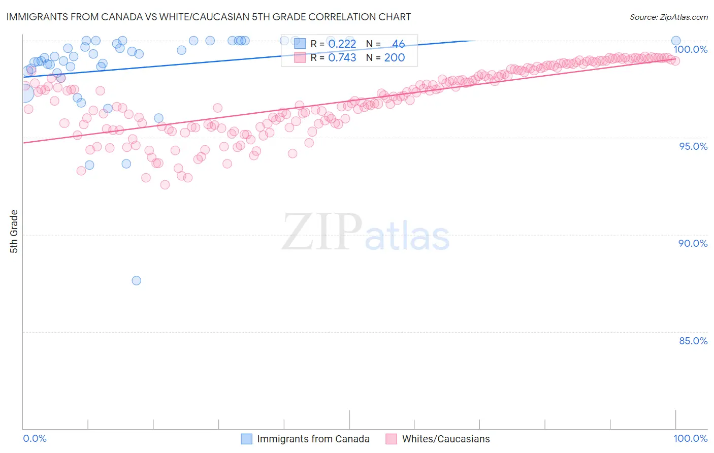 Immigrants from Canada vs White/Caucasian 5th Grade