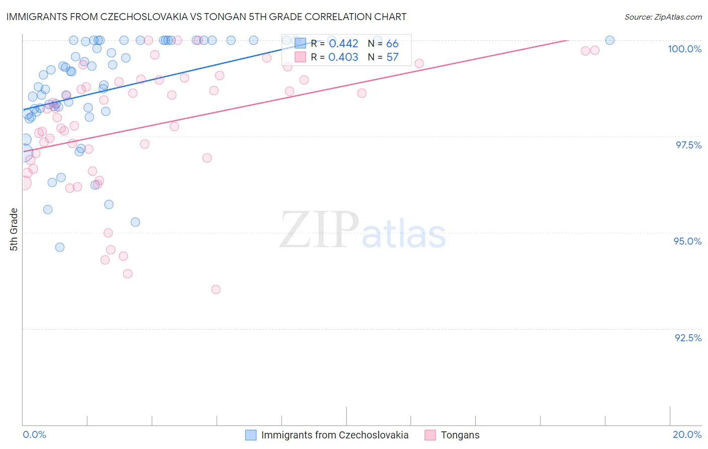 Immigrants from Czechoslovakia vs Tongan 5th Grade