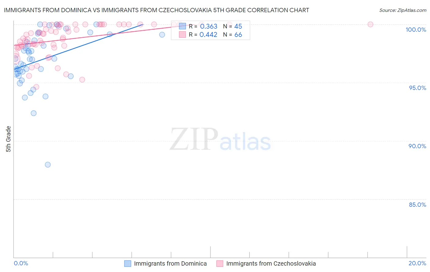 Immigrants from Dominica vs Immigrants from Czechoslovakia 5th Grade