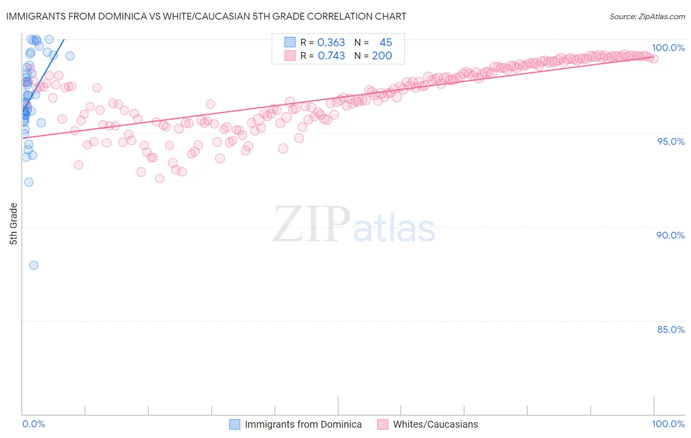 Immigrants from Dominica vs White/Caucasian 5th Grade