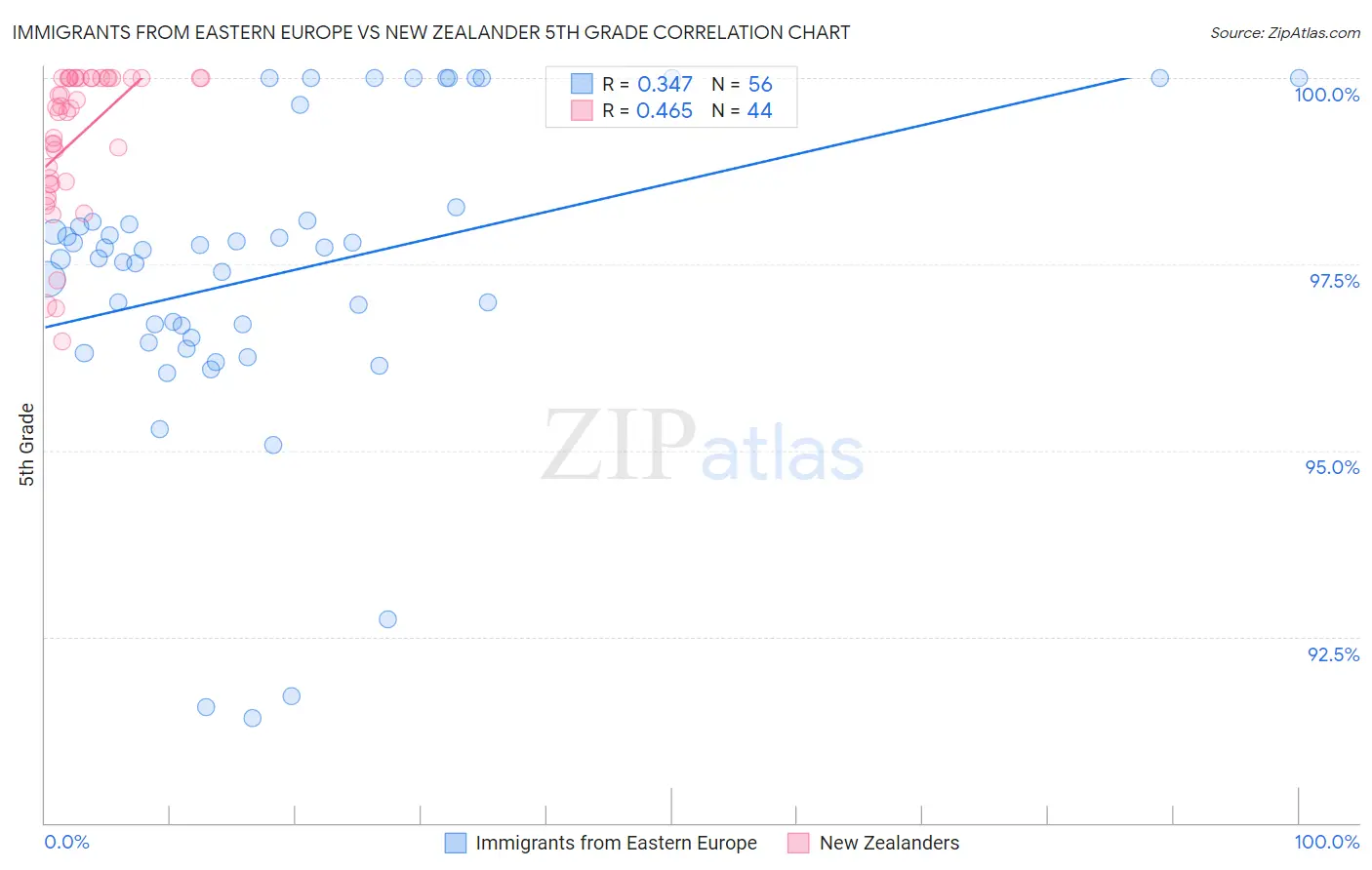 Immigrants from Eastern Europe vs New Zealander 5th Grade