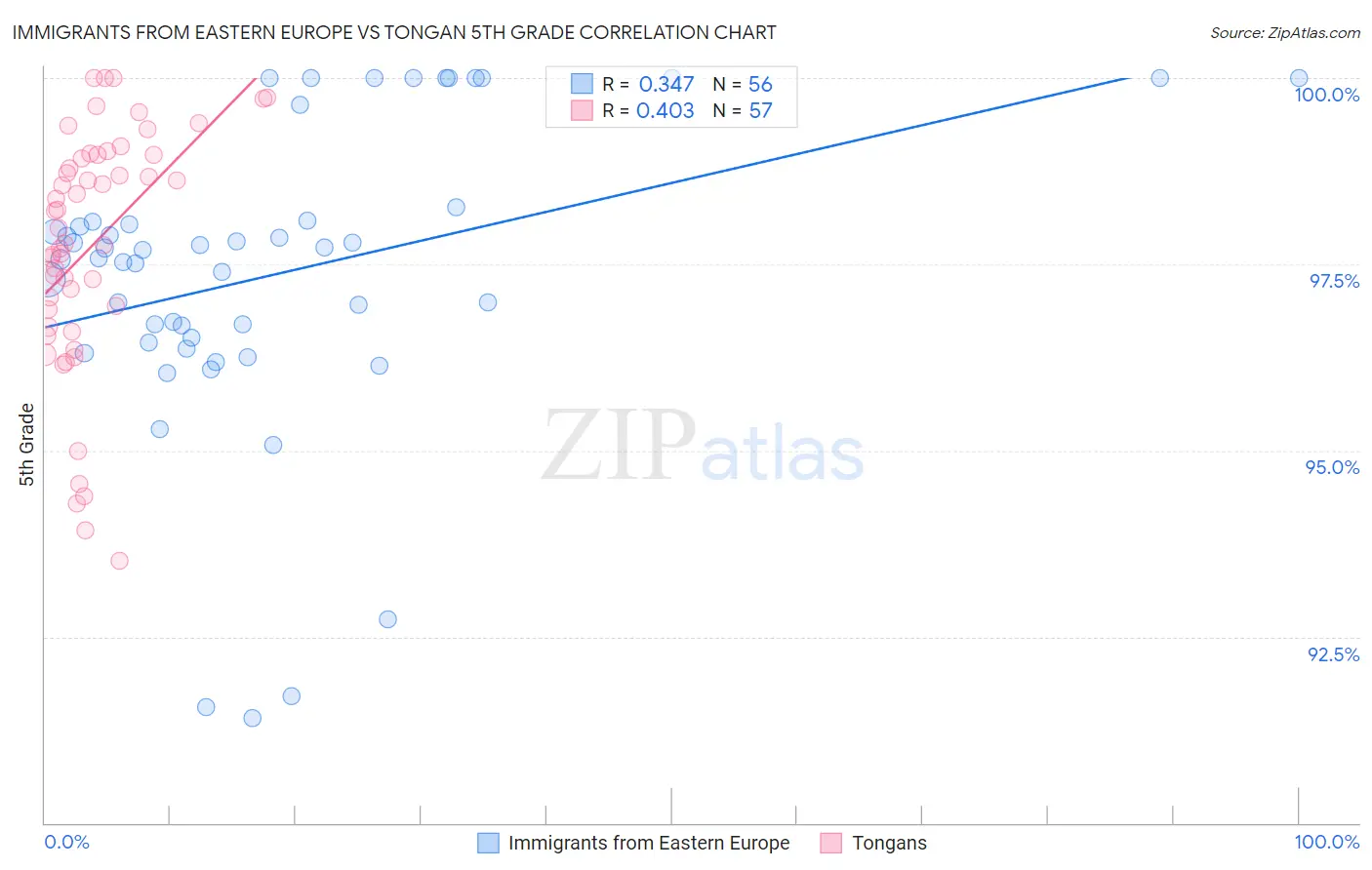 Immigrants from Eastern Europe vs Tongan 5th Grade