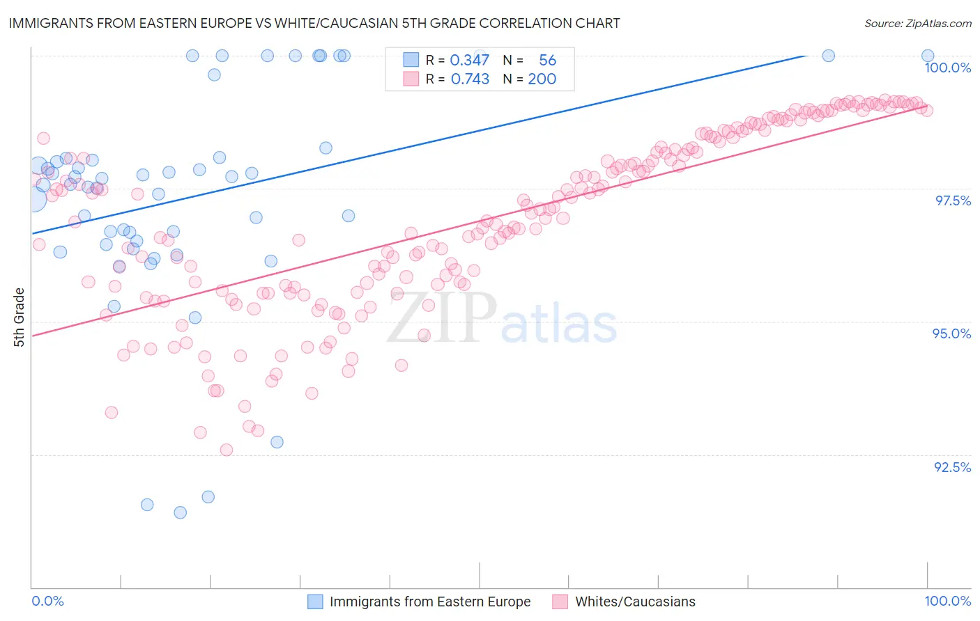 Immigrants from Eastern Europe vs White/Caucasian 5th Grade