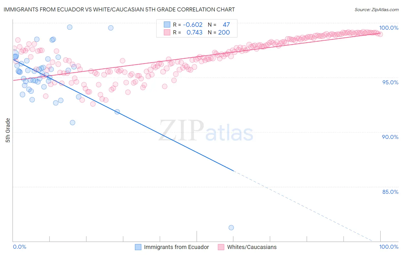 Immigrants from Ecuador vs White/Caucasian 5th Grade