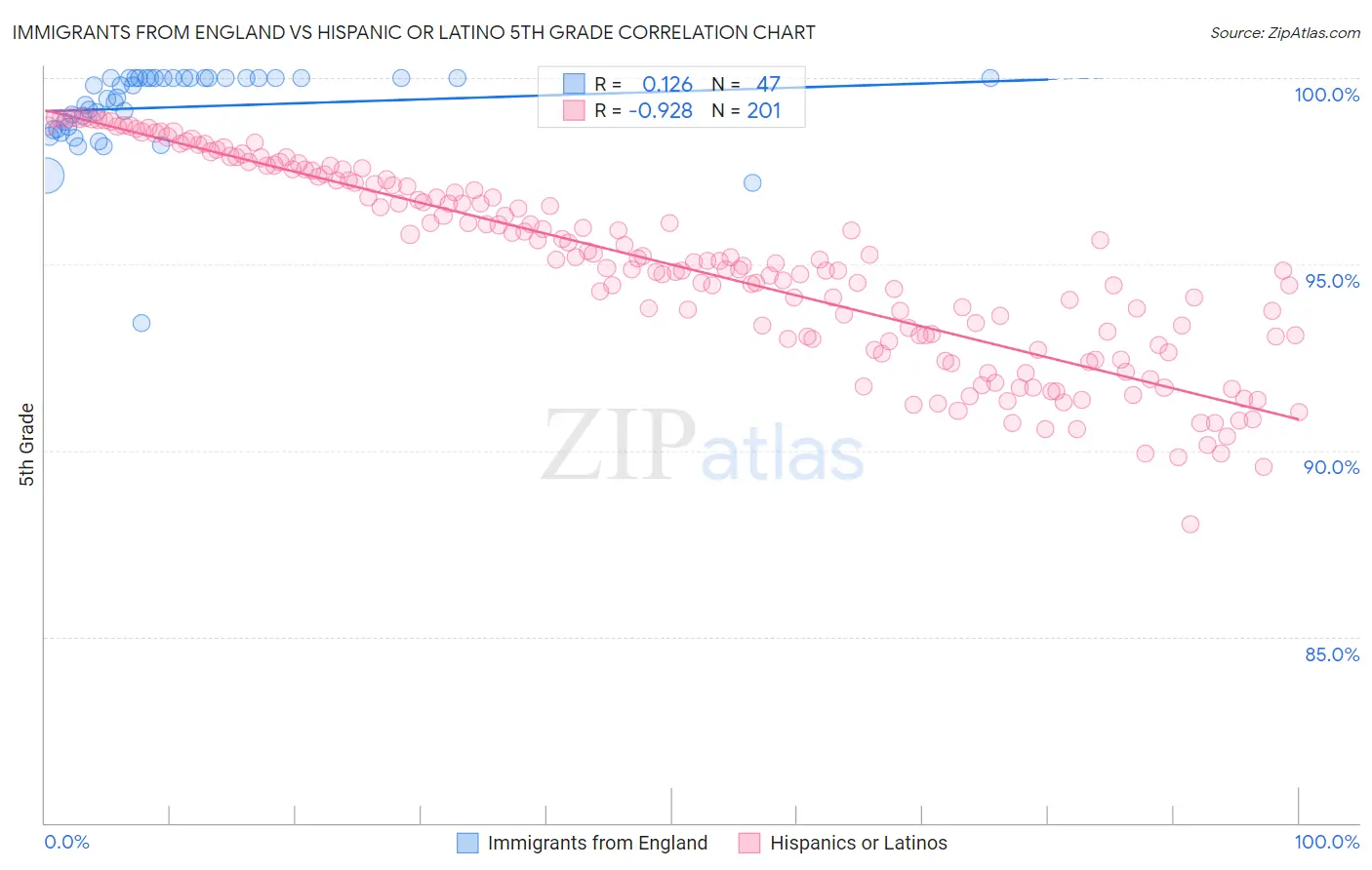 Immigrants from England vs Hispanic or Latino 5th Grade