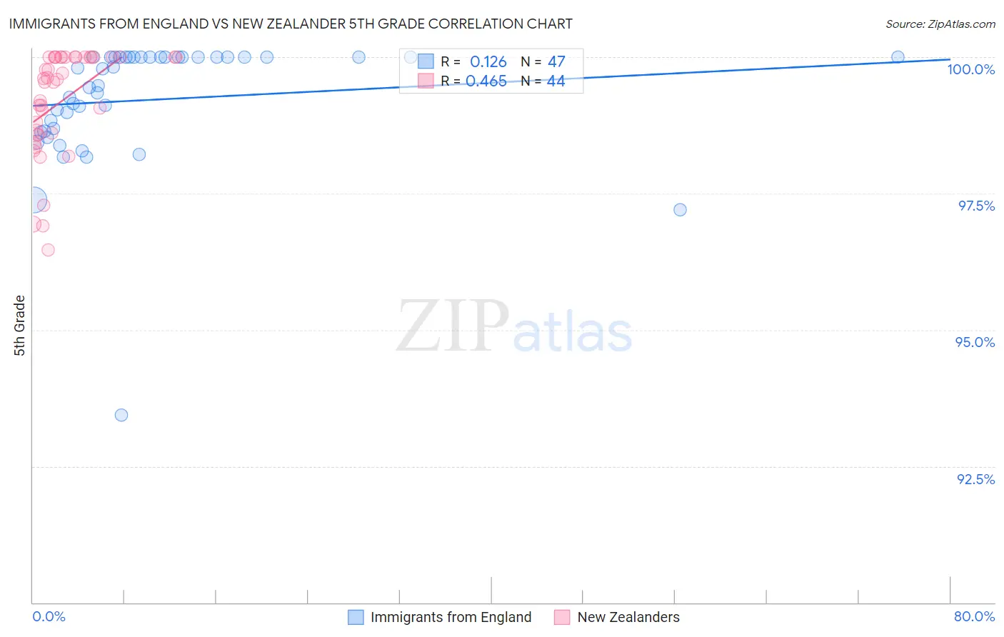 Immigrants from England vs New Zealander 5th Grade
